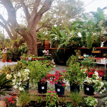 MiMo Garden Center - Nurseries & Gardening Near Me - Miami, Florida MiMo Garden Center - Nurseries & Gardening Near Me - Miami, Florida