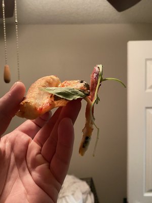 Gianni's Pizza by null