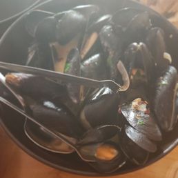 Mussels Mussels