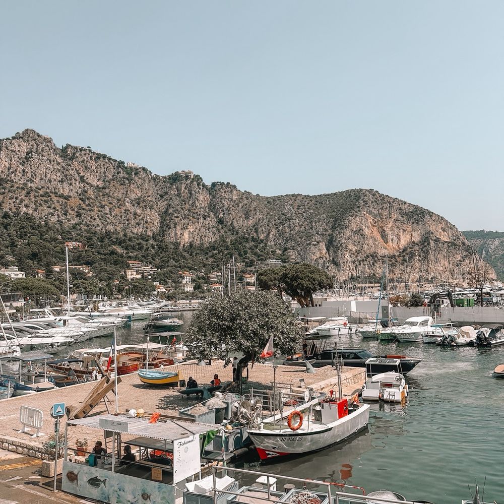 April | 2022 | Film Oblivion, image size:1000x1000