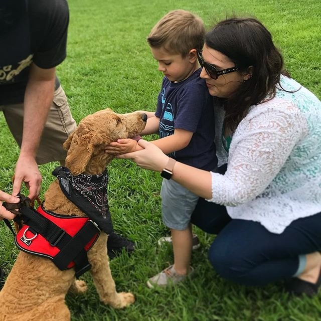 ASA Service Dogs 501c3 Nonprofit - social services organization in Lakeland, FL