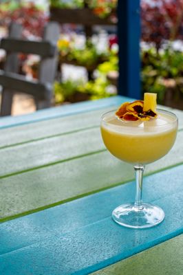 The Daily Dish by null