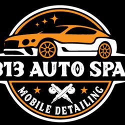 313 Auto Spa Mobile Detailing