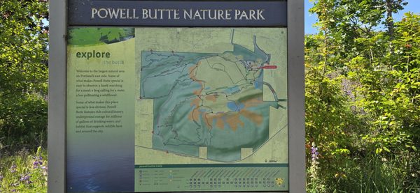 Powell Butte Nature Park by null