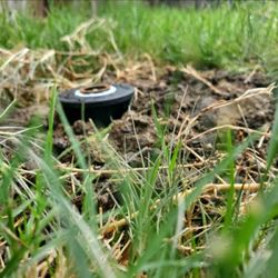 Thrive Outdoor Solutions - Beautiful work done in Watauga!

 #thriveos #smallbusiness #AreYouNext  #lawnsprinkler #beautifulyards #sprinklerinstall