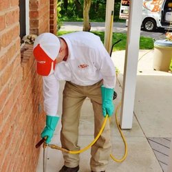 Bug Boys Pest Control - untitled
