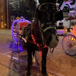Nottingham Shire & Carriage For Hire
