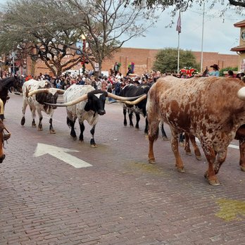 The Stockyards - Local Flavor Near Me - Fort Worth, Texas The Stockyards - Local Flavor Near Me - Fort Worth, Texas