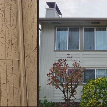 Old Guy Painting - There were ivy trails imbedded into the T111 Siding all over the front of the home. There was several places that had dry rot repairs done - Painters Near Me - Keizer, Oregon Old Guy Painting - There were ivy trails imbedded into the T111 Siding all over the front of the home. There was several places that had dry rot repairs done - Painters Near Me - Keizer, Oregon
