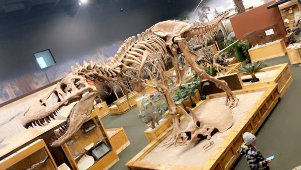 Ogden's George S. Eccles Dinosaur Park by null