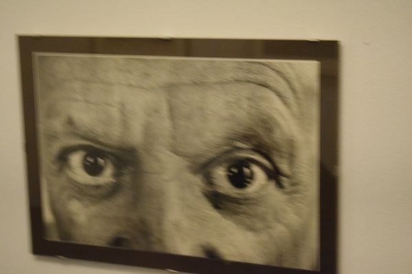 Sammlung Rosengart by null