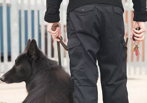 State Protection Agency LLC