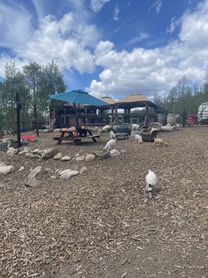 Vail Stables by null