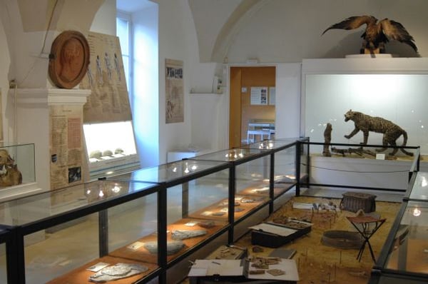 Muséum d'histoire naturelle de Nîmes by null