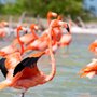 Photo of Yucatan Concierge