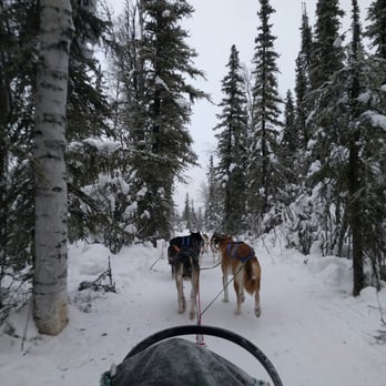 Sled Dog Adventures - Amazing! - Sledding Near Me Sled Dog Adventures - Amazing! - Sledding Near Me