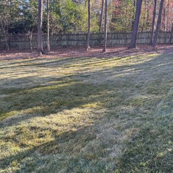 Peak Sodding - Sod Installation - Lawn Services Near Me - Holly Springs, North Carolina Peak Sodding - Sod Installation - Lawn Services Near Me - Holly Springs, North Carolina