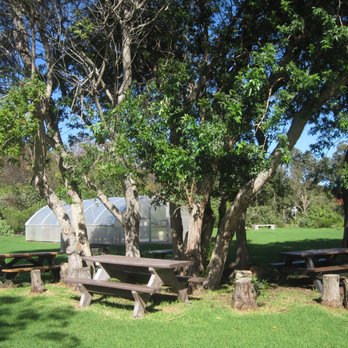 Waimea Nature Park - Dog Parks Near Me - Waimea, Hawaii Waimea Nature Park - Dog Parks Near Me - Waimea, Hawaii