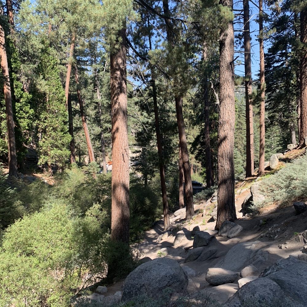 Castle Rock Trail - Hiking Near Me - Big Bear Lake, California