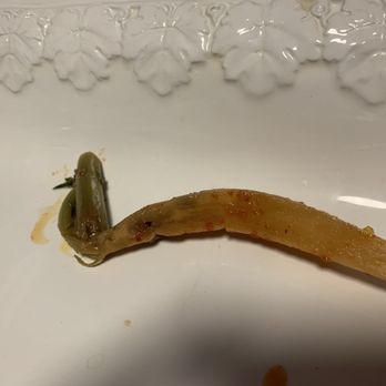 Rainbow Catering - a slug on a white plate - Caterers Near Me - Annandale, Virginia Rainbow Catering - a slug on a white plate - Caterers Near Me - Annandale, Virginia