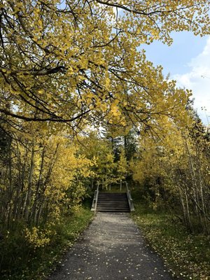 Miette Hot Springs by null