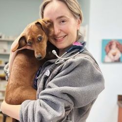 Bee Comforting At Home Mobile Euthanasia Services - Doctor Sarah Pittman, DVM