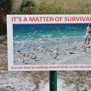 Tigertail Beach - Beaches Near Me - Marco Island, Florida Tigertail Beach - Beaches Near Me - Marco Island, Florida