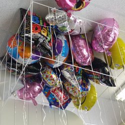 Dollar Tree
