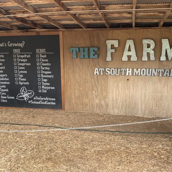 Morning Glory Cafe - List of what produce is currently grown at The Farm (which all 3 restaurants onsite source from). - Breakfast & Brunch Near Me - Phoenix, Arizona Morning Glory Cafe - List of what produce is currently grown at The Farm (which all 3 restaurants onsite source from). - Breakfast & Brunch Near Me - Phoenix, Arizona