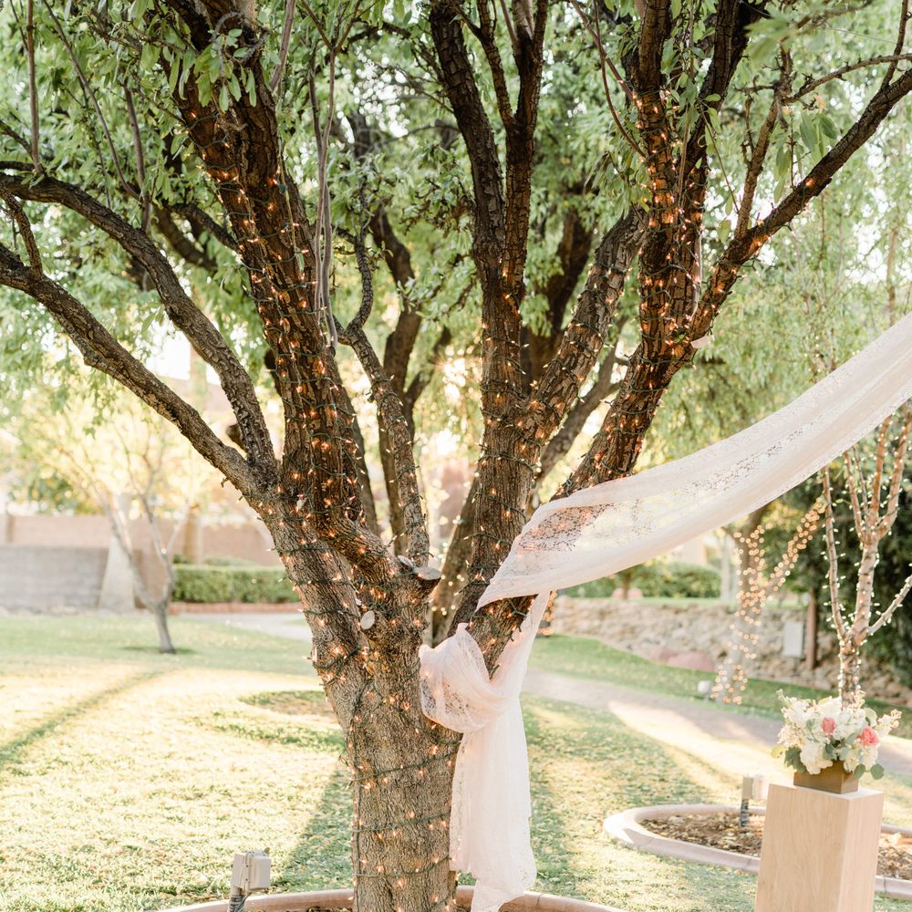 The Grove Wedding Chapel & Receptions - Loved the lights and lace drapes on the trees that come standard at The Grove's Almond Orchard. - Wedding Chapels Near Me - Las Vegas, Nevada The Grove Wedding Chapel & Receptions - Loved the lights and lace drapes on the trees that come standard at The Grove's Almond Orchard. - Wedding Chapels Near Me - Las Vegas, Nevada