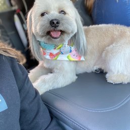 After her Dandee appointment! She is so happy After her Dandee appointment! She is so happy