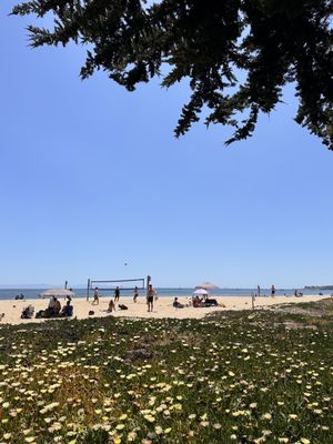 East Beach by null
