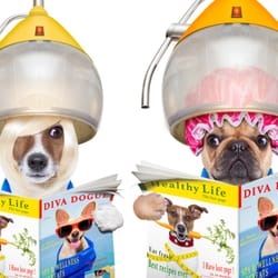Luxuria Pet Spa - We like to pamper your pet!