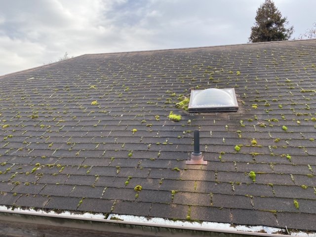 Slide of Corradini LLC Roof Restoration & Exteriors