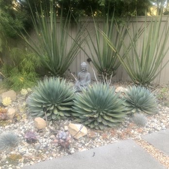 California Rainforest Gardens - Gardeners Near Me