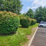 Photo of Issac Landscaping
