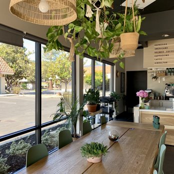 Lele Cake - Love the decor - Coffee & Tea Near Me - Los Gatos, California Lele Cake - Love the decor - Coffee & Tea Near Me - Los Gatos, California