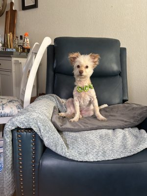 29 Palms Inn by null