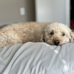Such a spoiled boy...