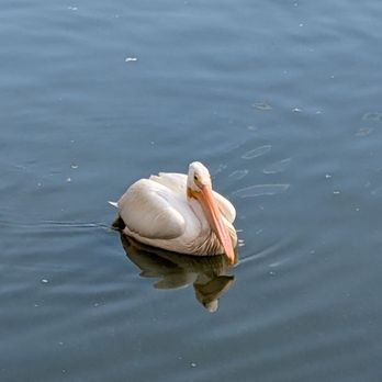 Beaumaris Lake - Stork - Lakes Near Me - Edmonton, Alberta Beaumaris Lake - Stork - Lakes Near Me - Edmonton, Alberta