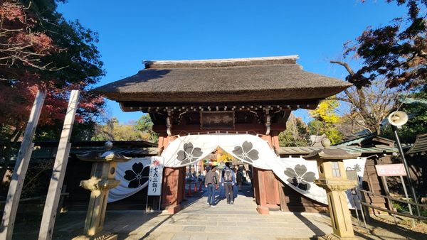 Jindaiji Temple by null