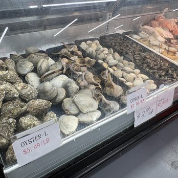 HL Asian Market - oyster, conch, clams here - International Grocery Near Me - Sarasota, Florida HL Asian Market - oyster, conch, clams here - International Grocery Near Me - Sarasota, Florida