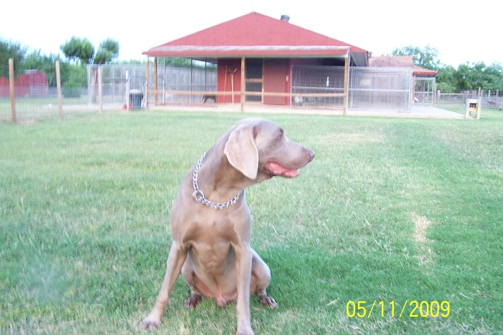 SMITH RANCH KENNELS Updated August 2024 36844 San Jose Ranch Rd