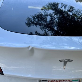 Express Dent & Paint - Results of the tree battle. - Auto Detailing Near Me - Ventura, California Express Dent & Paint - Results of the tree battle. - Auto Detailing Near Me - Ventura, California