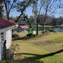 Photo of Southern Tree Experts