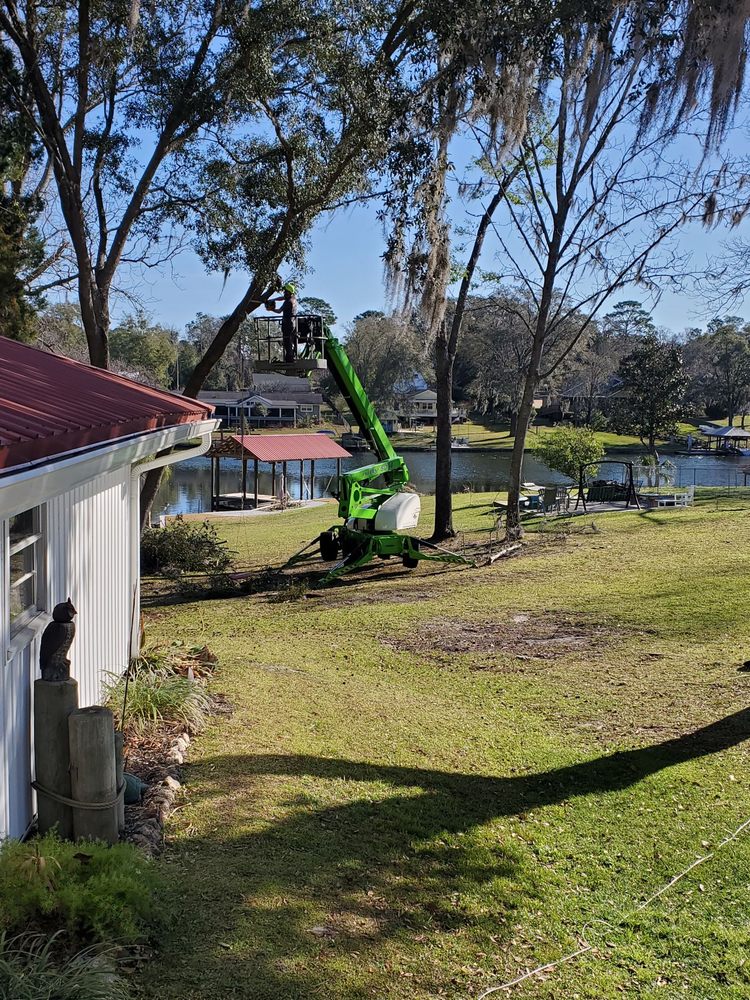 Southern Tree Experts - tree service in Middleburg, FL