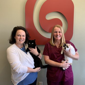 Galloway Village Veterinary - Dr. Kurucz and Dr. Rust with two of our office cats, Toothless and Poppy - Veterinarians Near Me - Springfield, Missouri