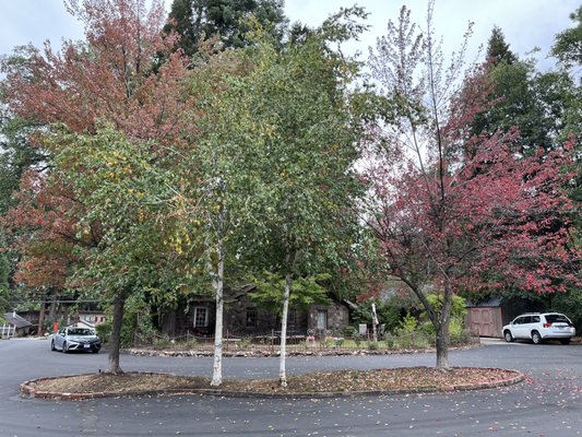 Strawberry Valley Inn by null