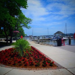Local flora and fauna beautify Founders Park.