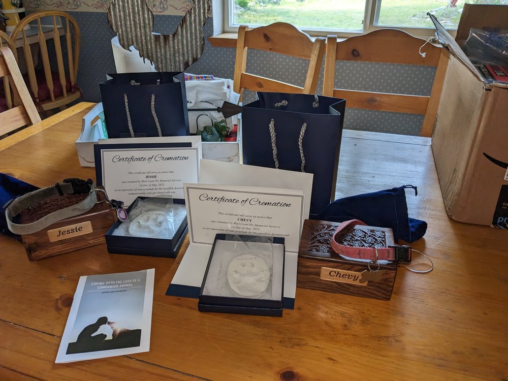 BEST FRIENDS MOBILE VETERINARY CARE Updated October 2024 13 Reviews